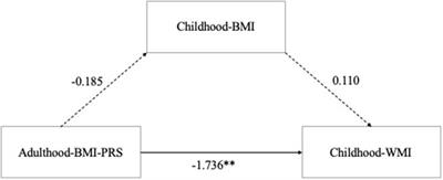 Association Between Genetic Risks for Obesity and Working Memory in Children